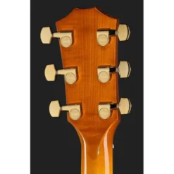 Taylor 217e Plus Special Edition HB