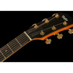 Taylor 217e Plus Special Edition HB