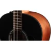 Taylor 117e Special Edition DTB