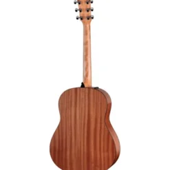 Taylor 117e Special Edition DTB
