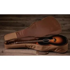 Taylor 117e Special Edition DTB