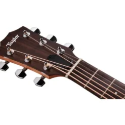 Taylor 117e Special Edition DTB