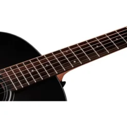 Taylor 117e Special Edition DTB