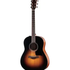 Taylor 117e Special Edition DTB