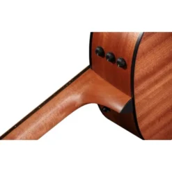 Taylor 117e Special Edition DTB