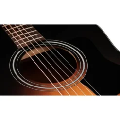 Taylor 117e Special Edition DTB