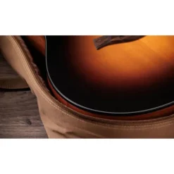 Taylor 117e Special Edition DTB