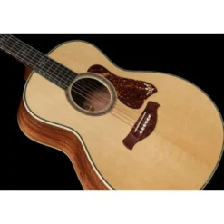 Taylor Gold Label 914e