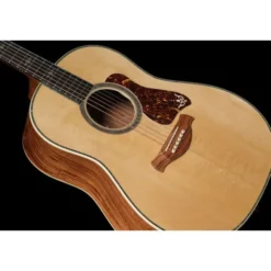Taylor Gold Label 917e