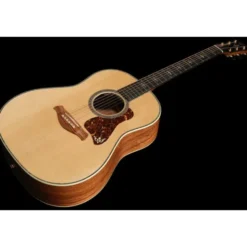 Taylor Gold Label 917e