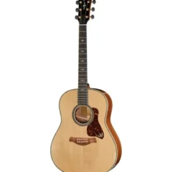 Taylor Gold Label 917e