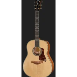 Taylor Gold Label 917e