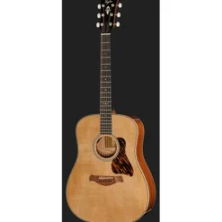 Taylor Gold Label 510e