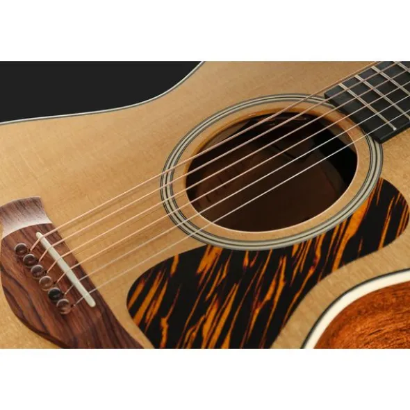 Taylor Gold Label 512e