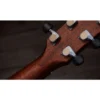 Taylor Gold Label 814e