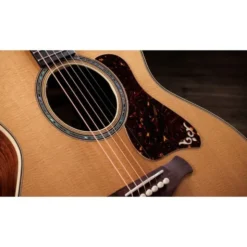 Taylor Gold Label 814e