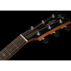 Taylor Gold Label 810e