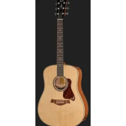 Taylor Gold Label 810e