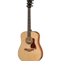 Taylor Gold Label 810e