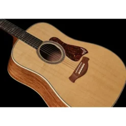 Taylor Gold Label 810e