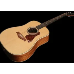 Taylor Gold Label 810e