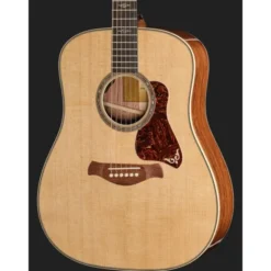 Taylor Gold Label 810e