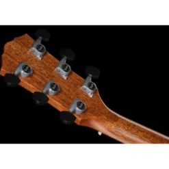 Taylor Gold Label 810e