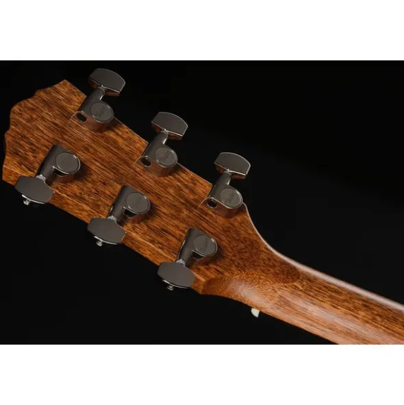 Taylor Gold Label 717e