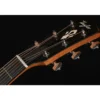 Taylor Gold Label 514e Blacktop