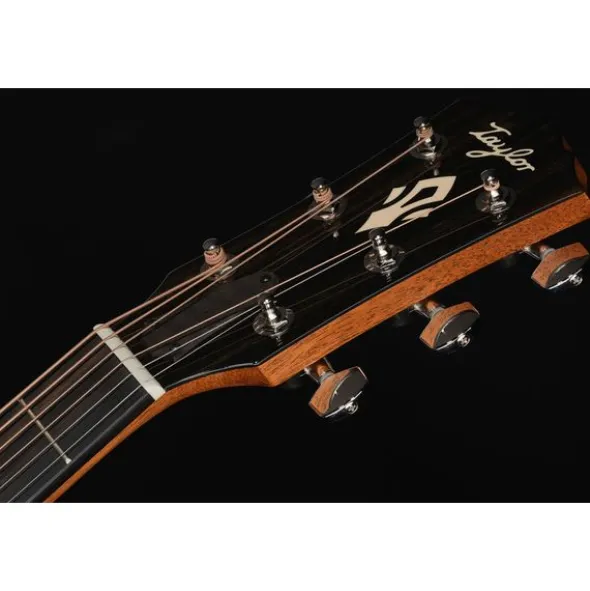 Taylor Gold Label 514e Blacktop