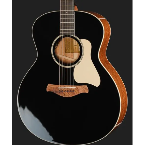 Taylor Gold Label 514e Blacktop