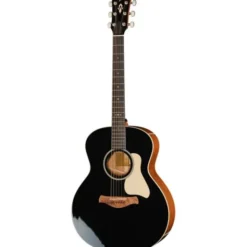 Taylor Gold Label 514e Blacktop