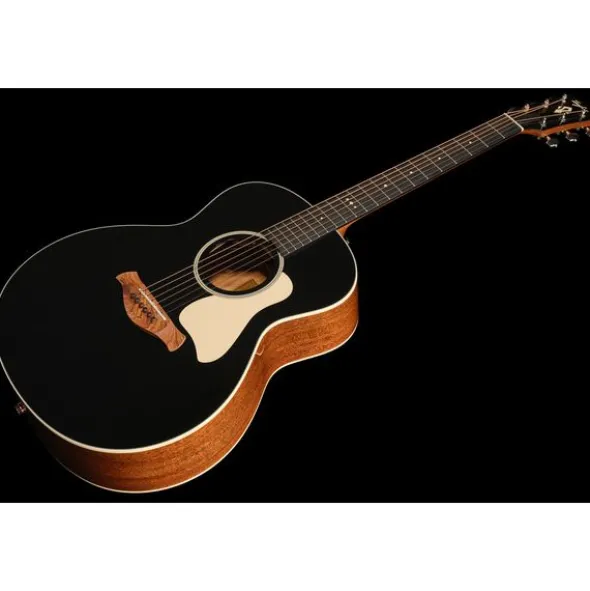 Taylor Gold Label 514e Blacktop