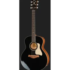 Taylor Gold Label 514e Blacktop