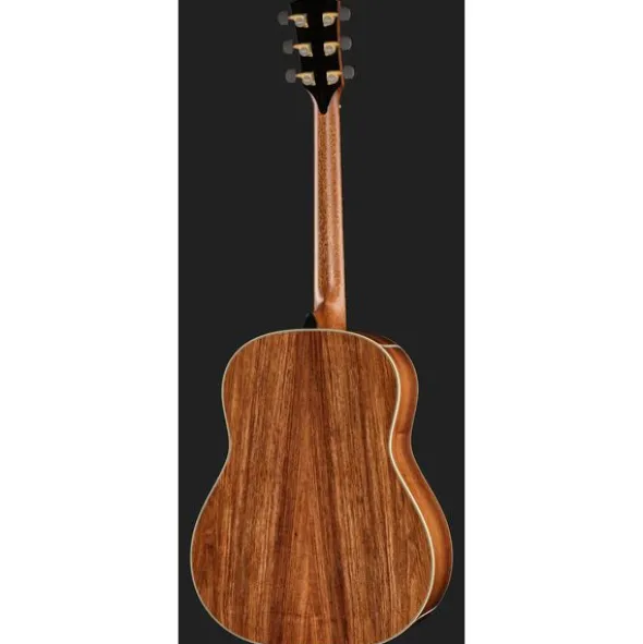 Taylor Gold Label 917e SB