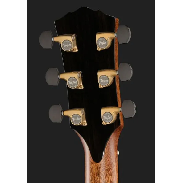 Taylor Gold Label 917e SB