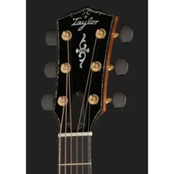 Taylor Gold Label 917e SB