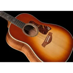 Taylor Gold Label 917e SB