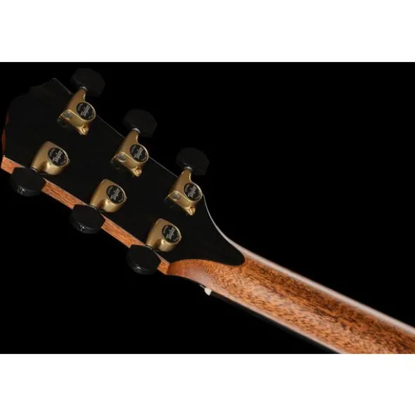 Taylor Gold Label 917e SB