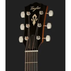 Taylor Gold Label 517e SB Cream