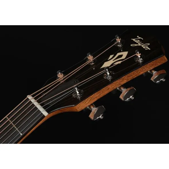 Taylor Gold Label 717e SB Cream