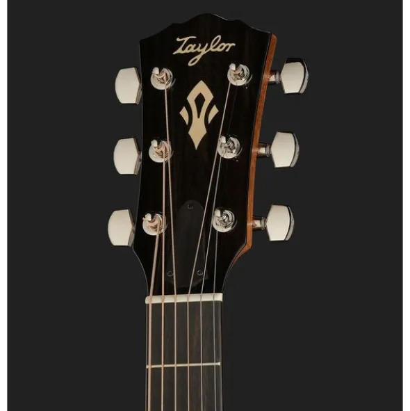 Taylor Gold Label 717e SB Cream