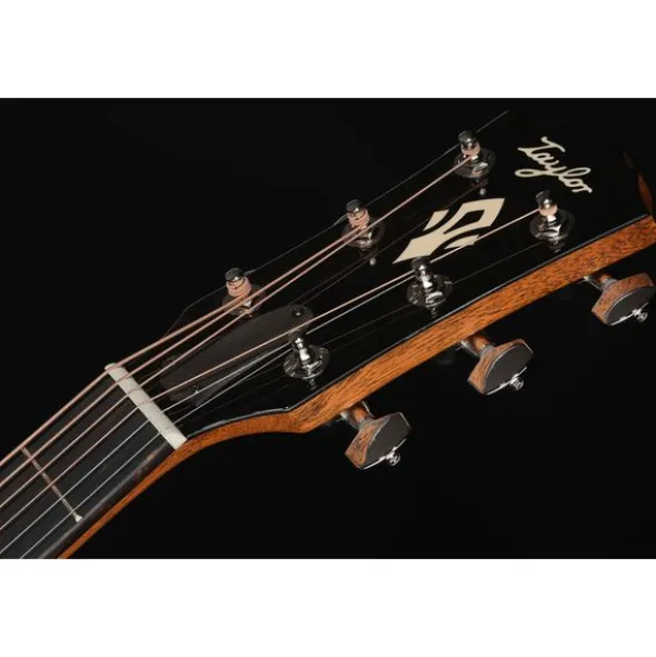 Taylor Gold Label 514e SB Cream