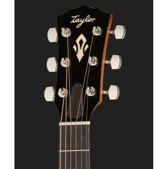Taylor Gold Label 514e SB Cream