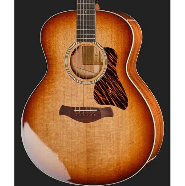 Taylor Gold Label 514e SB FS