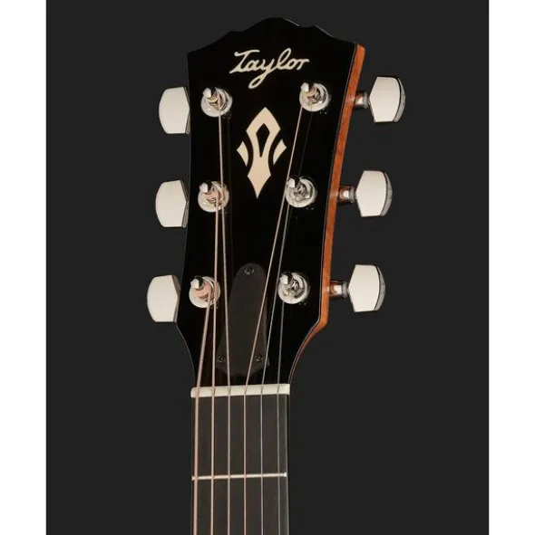 Taylor Gold Label 514e SB FS