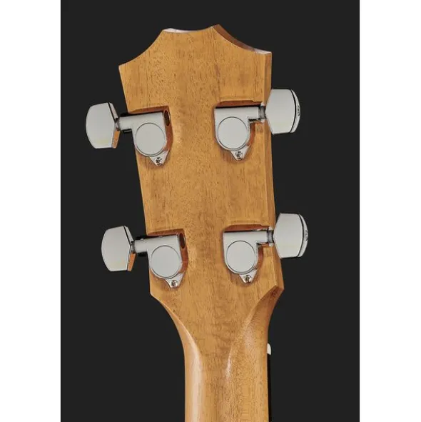 Taylor GS Mini-e Bass