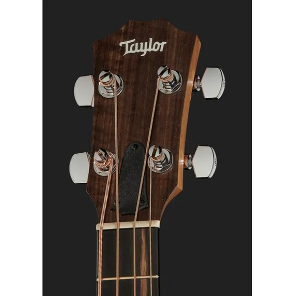 Taylor GS Mini-e Bass