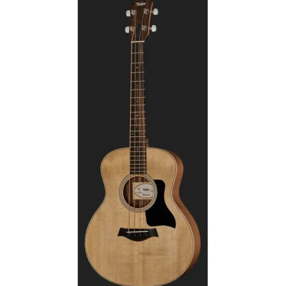 Taylor GS Mini-e Bass