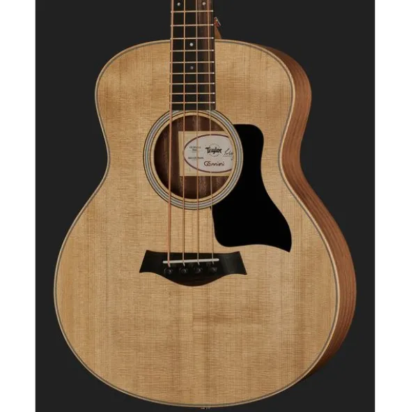 Taylor GS Mini-e Bass